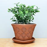 Planter in Dark Clay